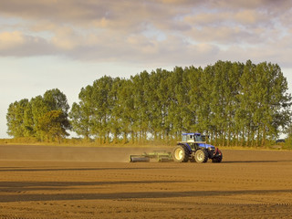 rolling a field