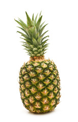Fototapeta premium fresh pineapple on white background