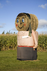 Mrs Haybale