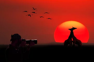 Fotobehang African sunset © PROMA
