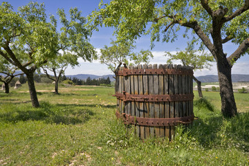 Escena campestre con barril de madera (2)