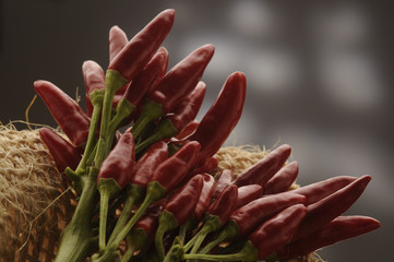 Peperoncini piccanti