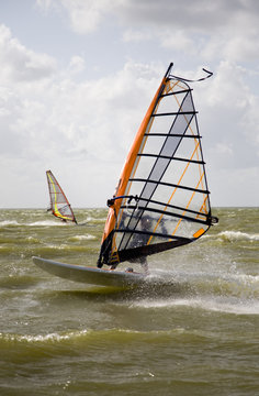 Windsurfer