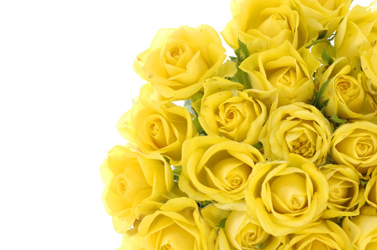 Bouquet of yellow roses on green background
