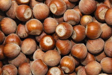 avellanas