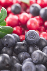 Berries
