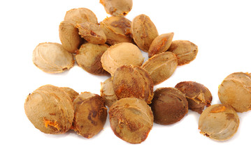 Apricot stones