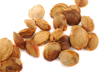 Apricot stones