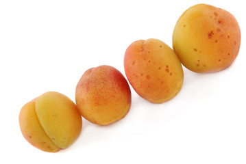 Apricot fruits