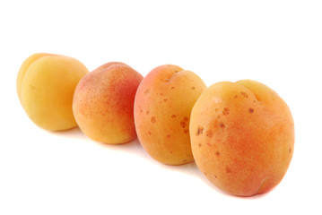 Apricot fruits