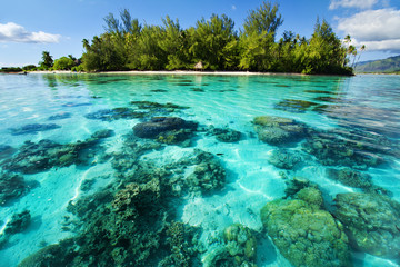 Underwater coral reef next to tropical island