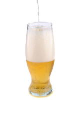 golden beer