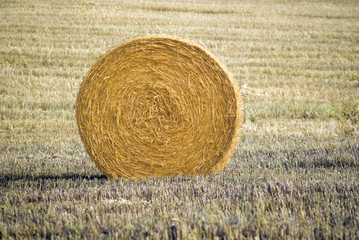 Hay bale