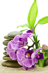 pink orchid, stack of stones and bamboo leaves