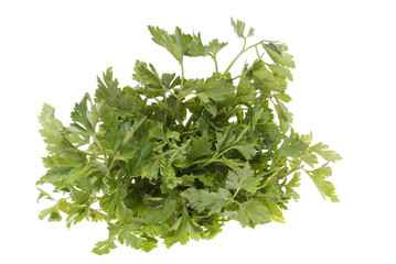 parsley