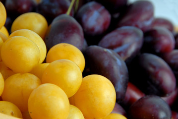 two kinds of plums