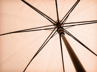 umbrella