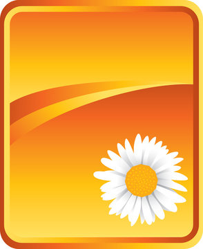 Gold advertisement of sunflower