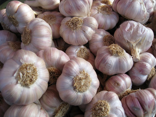 Auf dem Markt - Knoblauch