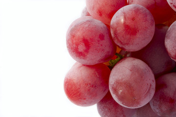 macro de la uva tinta