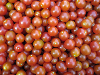 Auf dem Markt - Tomaten
