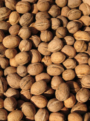 Auf dem Markt - Nüsse