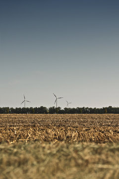 Shaved Field - Abgeerntetes Feld