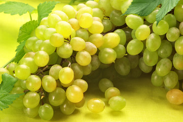White grape