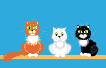 Three cats