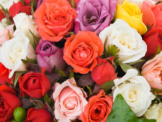 small roses