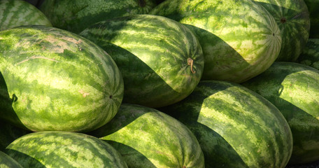 Watermelon for sales