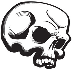 Skull
