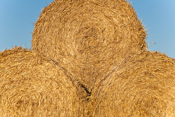 gestapelte Strohballen lagern auf dem Feld nach der Ernte