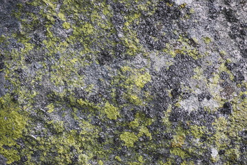 Felsen
