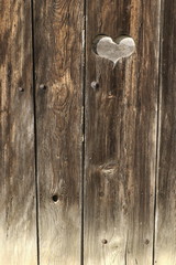 Coeur de bois 2