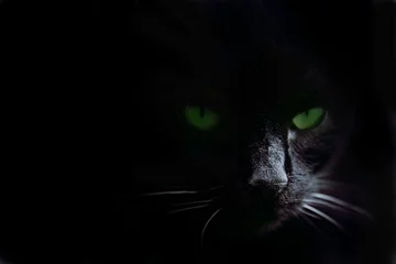 Fototapete Panther Grüne Katzenaugen im Dunkeln