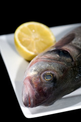 bar sur assiette - fond noir