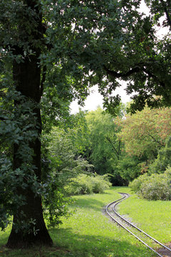 Schienen