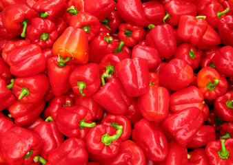 Obraz na płótnie Canvas Rote Paprika - red peppers