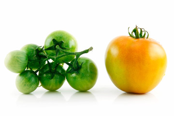 Ripe Wet Yellow and Green Tomatoes Isolated on White