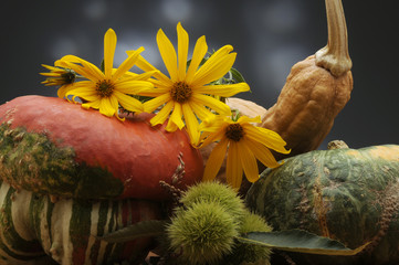 Topinambur con zucche e castagne