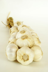 Organic garlic string