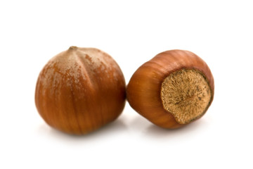 hazelnut