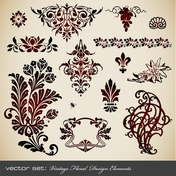 vector set: vintage floral design elements