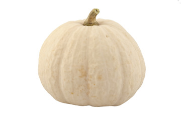 single pumpkin