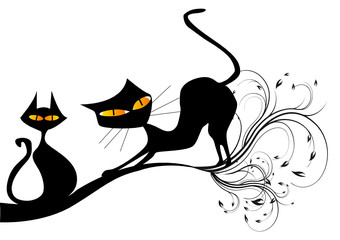 chats noirs