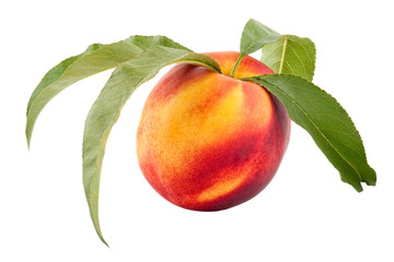 Ripe Peach with Leaf, isolated on White Background