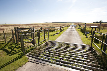 cattle grid
