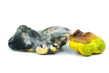 Rotten vegetables