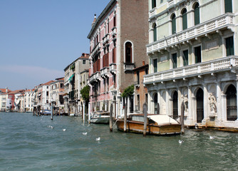 Naklejka premium venice grand canal